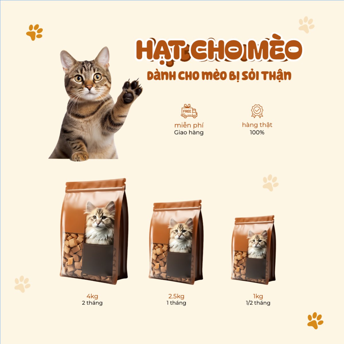 Thức ăn cho mèo, mèo, cat, pet, thú cưng, thú nuôi, động vật, animal