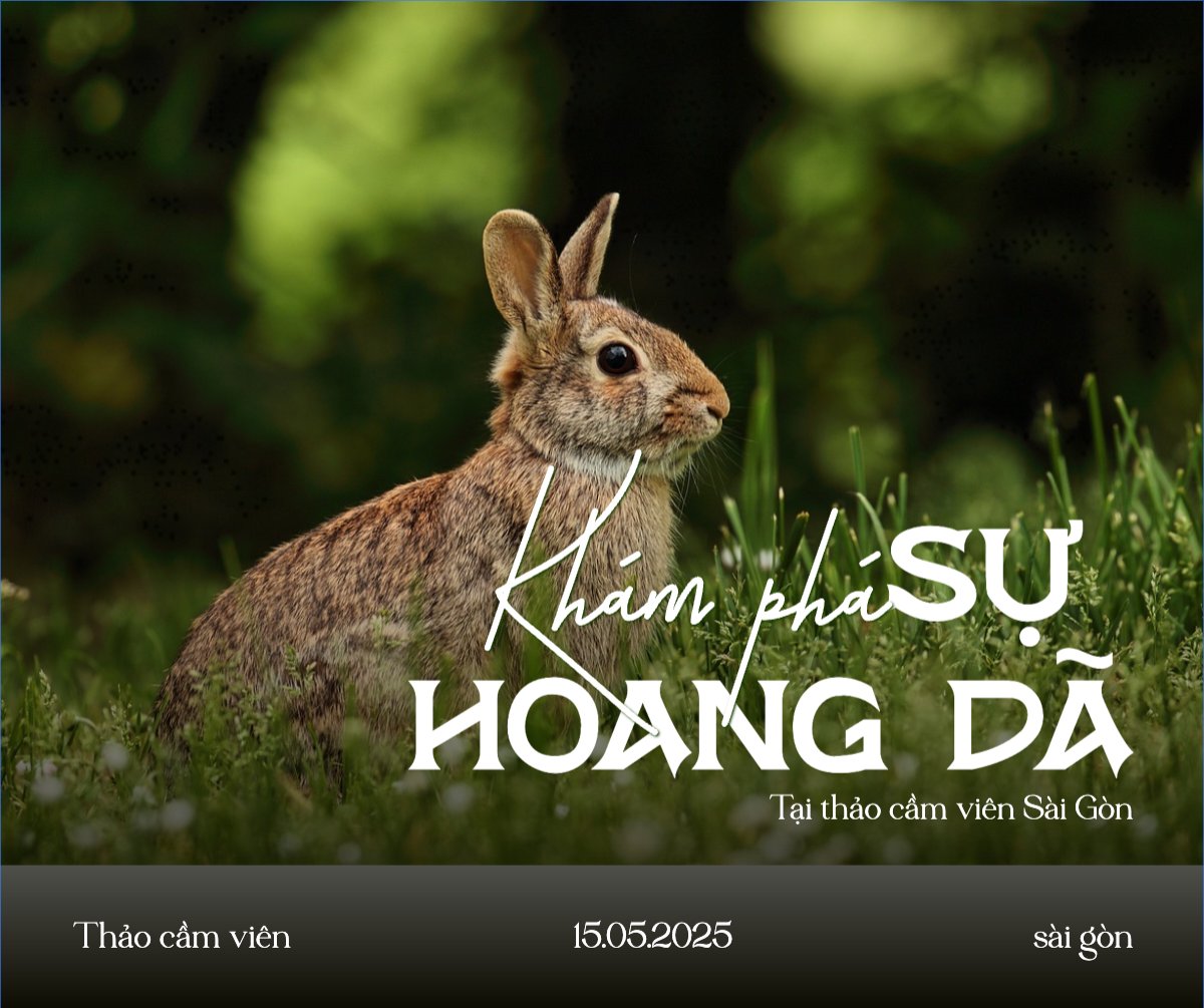 Pet, thú cưng, thú nuôi, động vật, animal