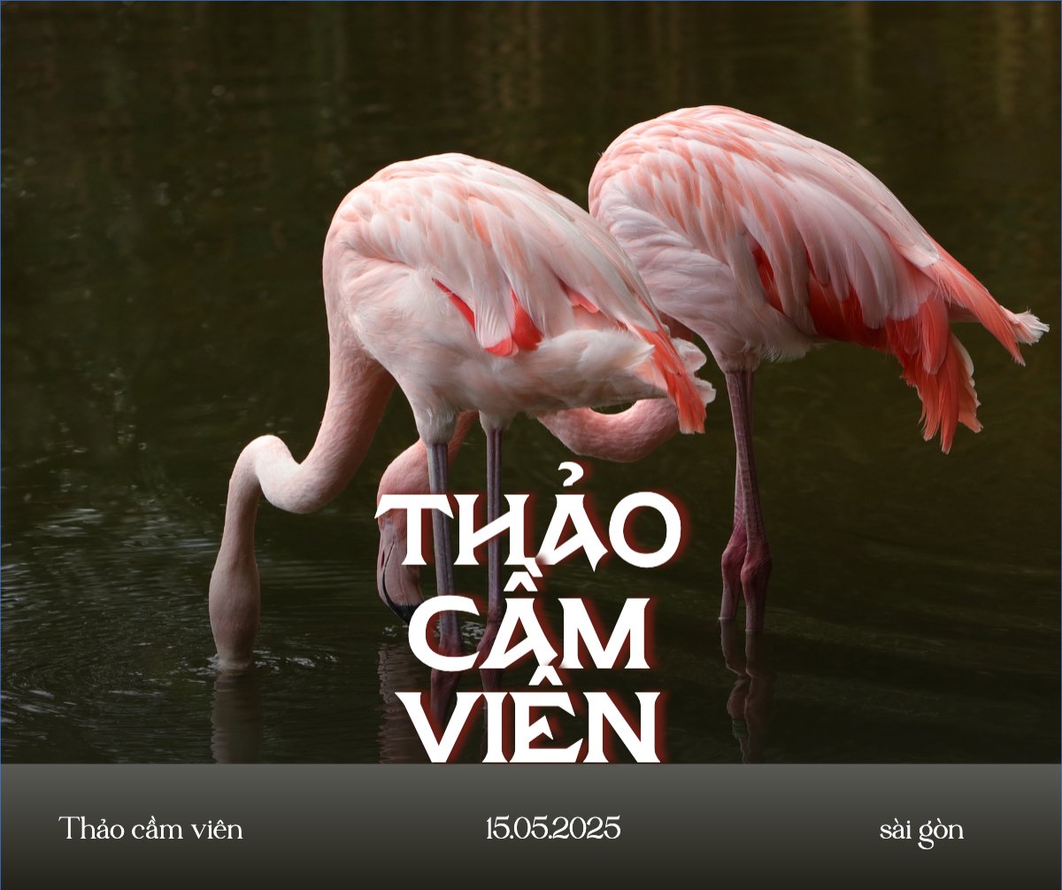 Pet, thú cưng, thú nuôi, động vật, animal