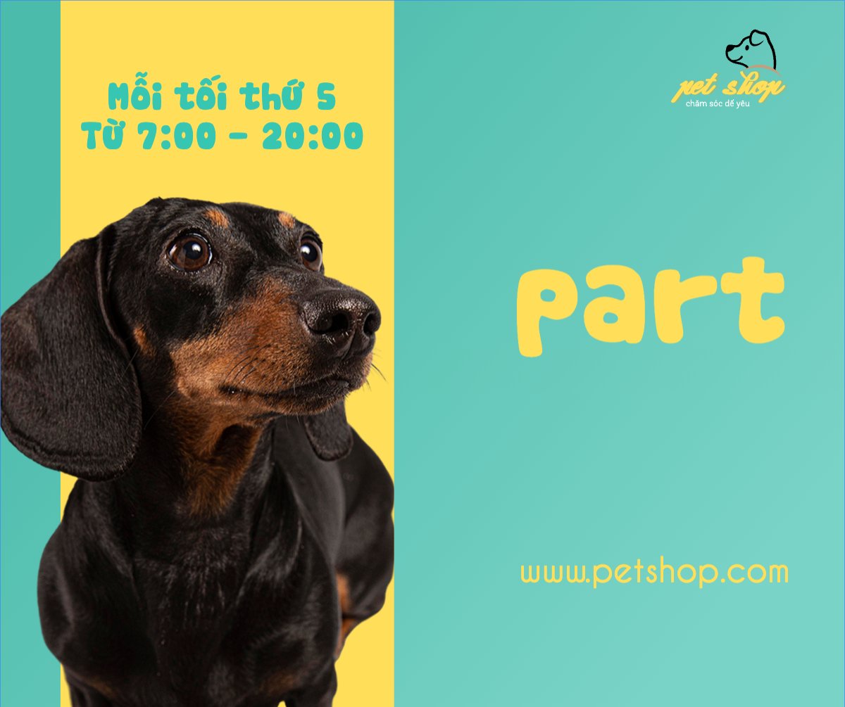 Pet, thú cưng, thú nuôi, động vật, animal