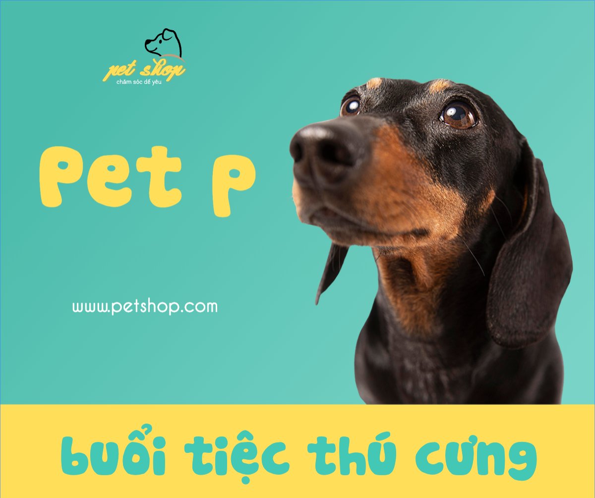 Pet, thú cưng, thú nuôi, động vật, animal