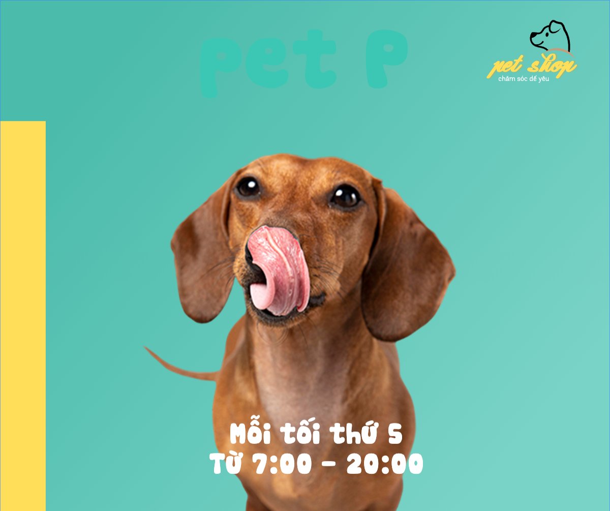Pet, thú cưng, thú nuôi, động vật, animal