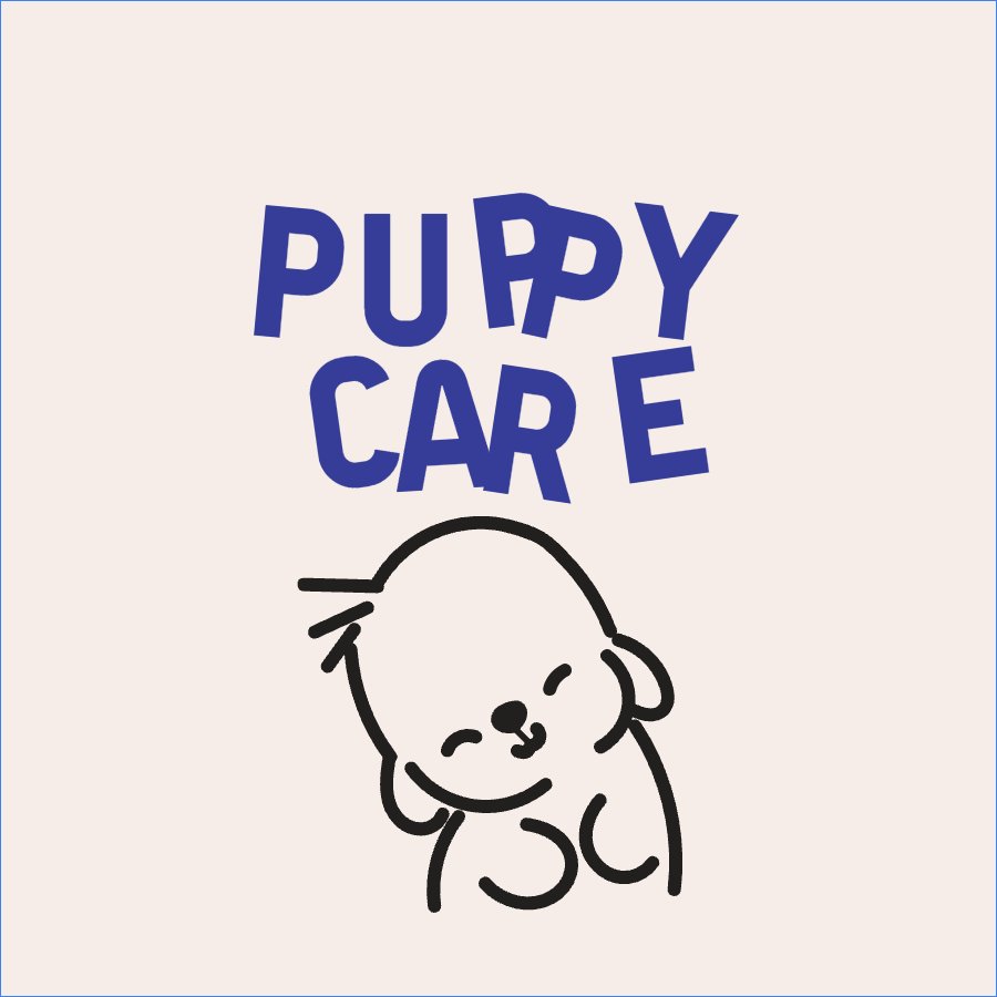 Dog, chó, cún, puppy, pet, thú cưng, thú nuôi, động vật, animal