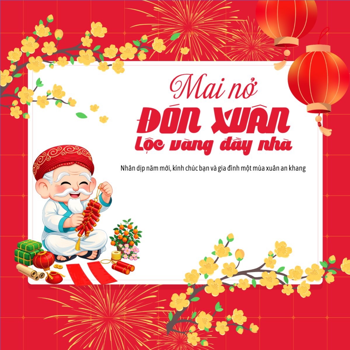 Mai nở đón xuân lộc vàng đầy nhà
