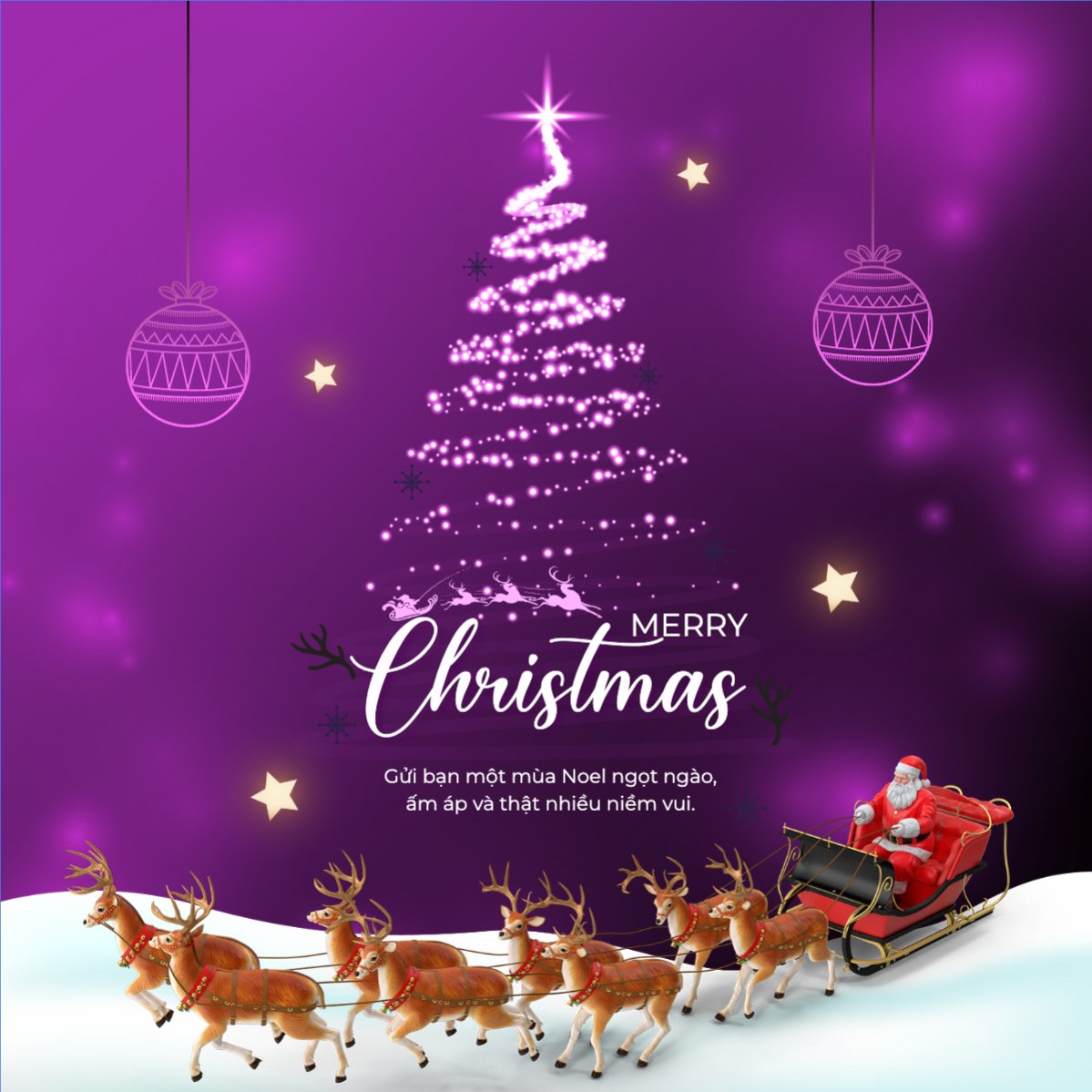 Merry Christmas