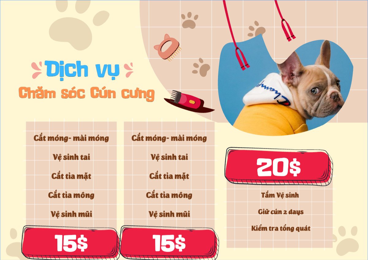 Pet, thú cưng, thú nuôi, động vật, animal, dog