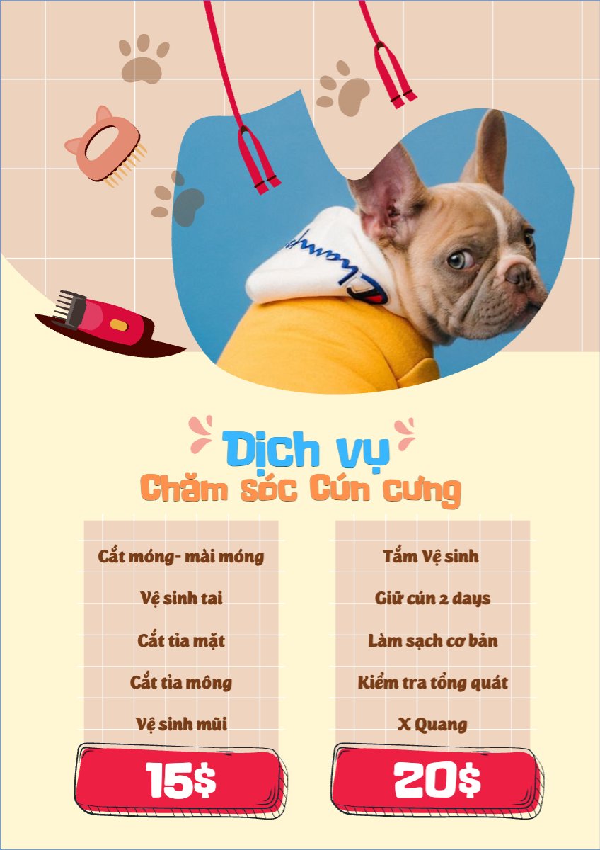 Pet, thú cưng, thú nuôi, động vật, animal