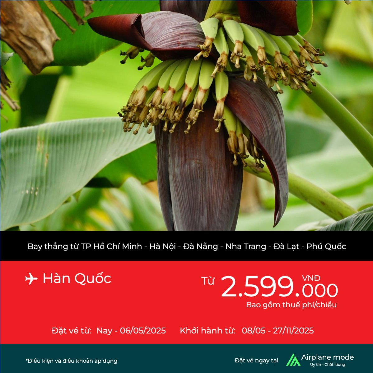 Giảm giá, sale, du lịch, travel, tourism, trải nghiệm, khám phá
