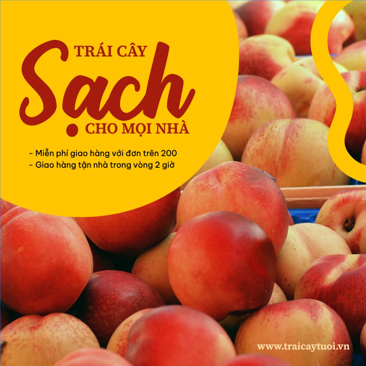 Đồ ăn, food, thực phẩm, ẩm thực, món ăn, F&B, nhà hàng, thức ăn