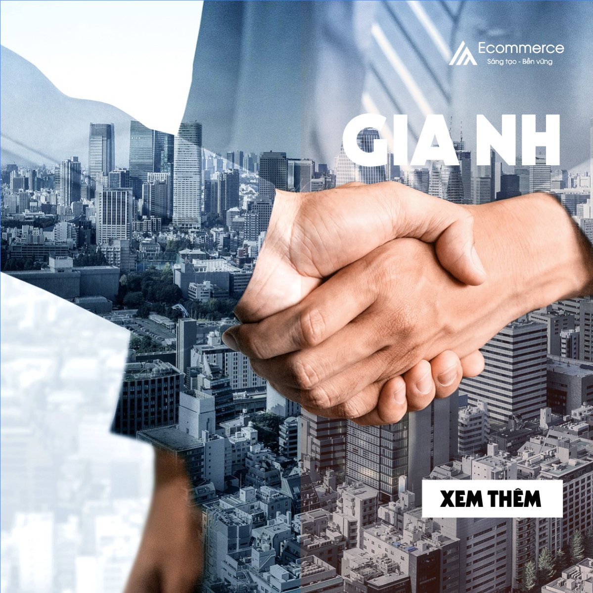 Thương mại điện tử, commercial electronics, doanh nhân