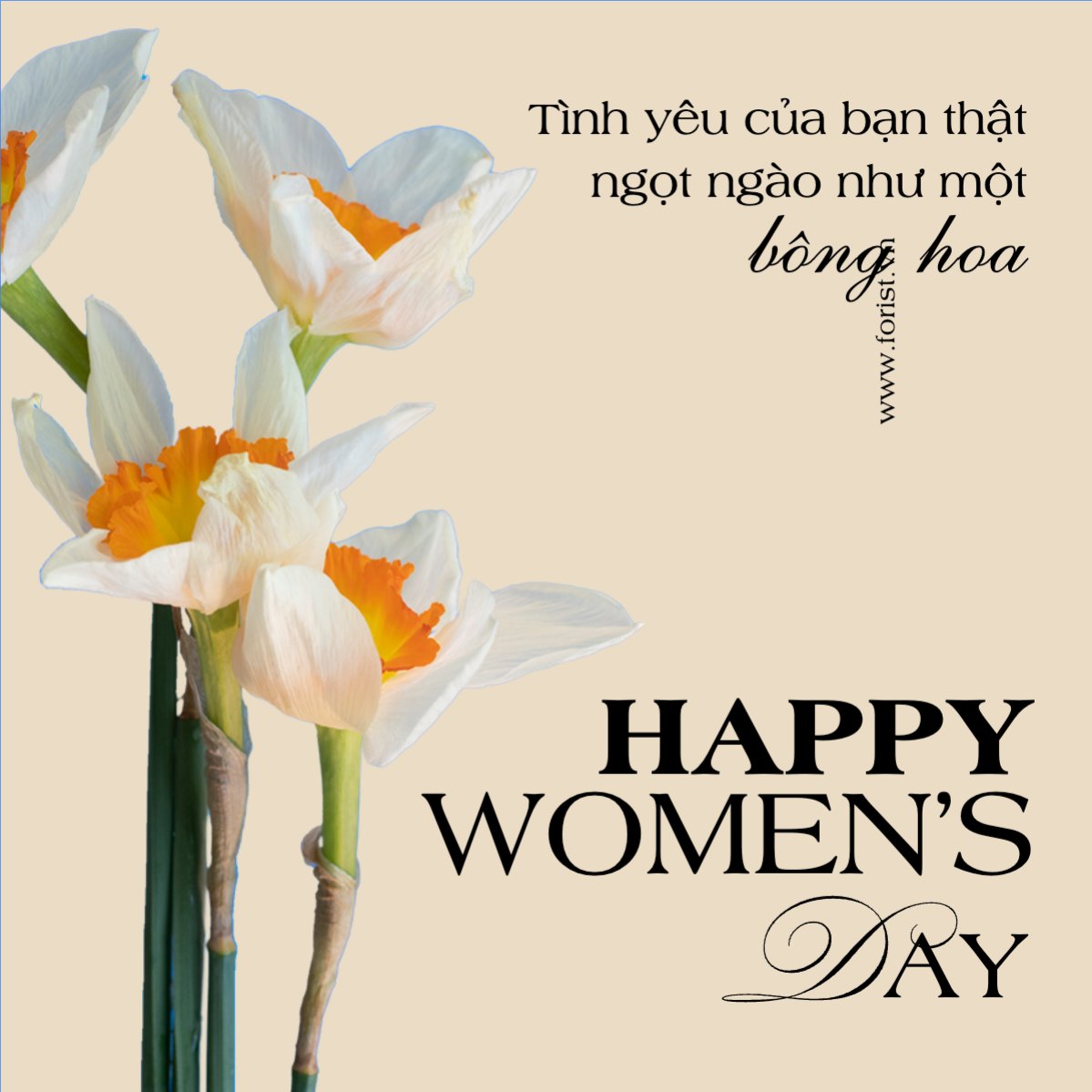 Nông sản, agricultural, farm, flower shop, cửa hàng hoa