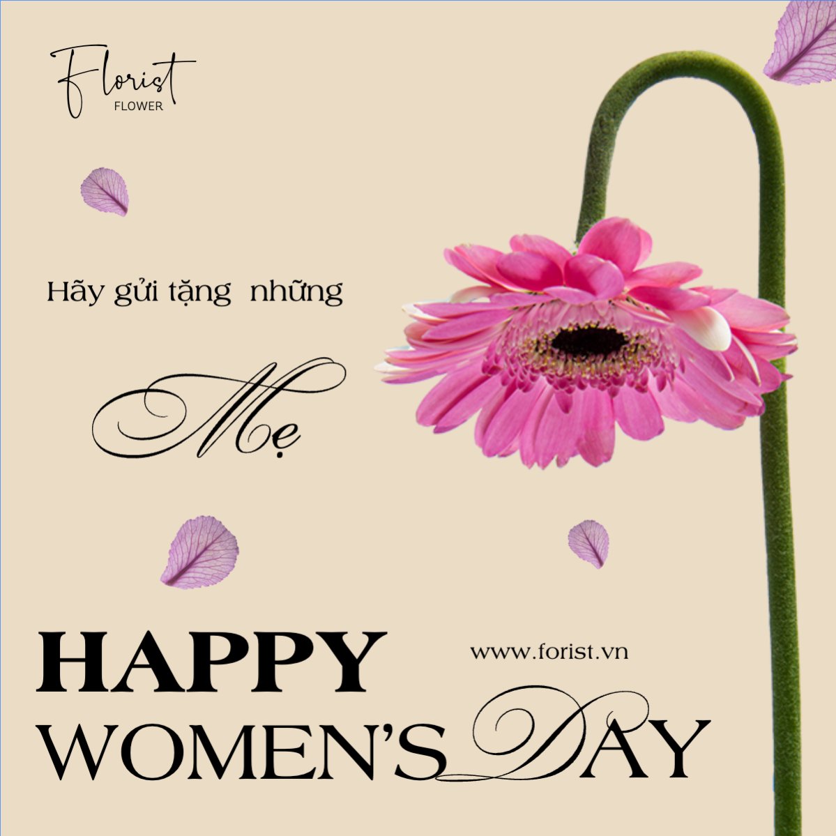 Nông sản, agricultural, farm, flower shop, cửa hàng hoa