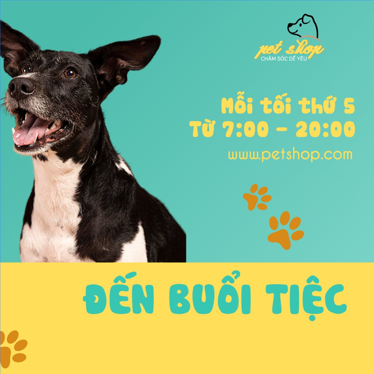 Pet, thú cưng, thú nuôi, động vật, animal
