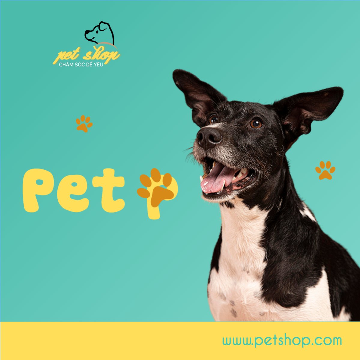 Pet, thú cưng, thú nuôi, động vật, animal