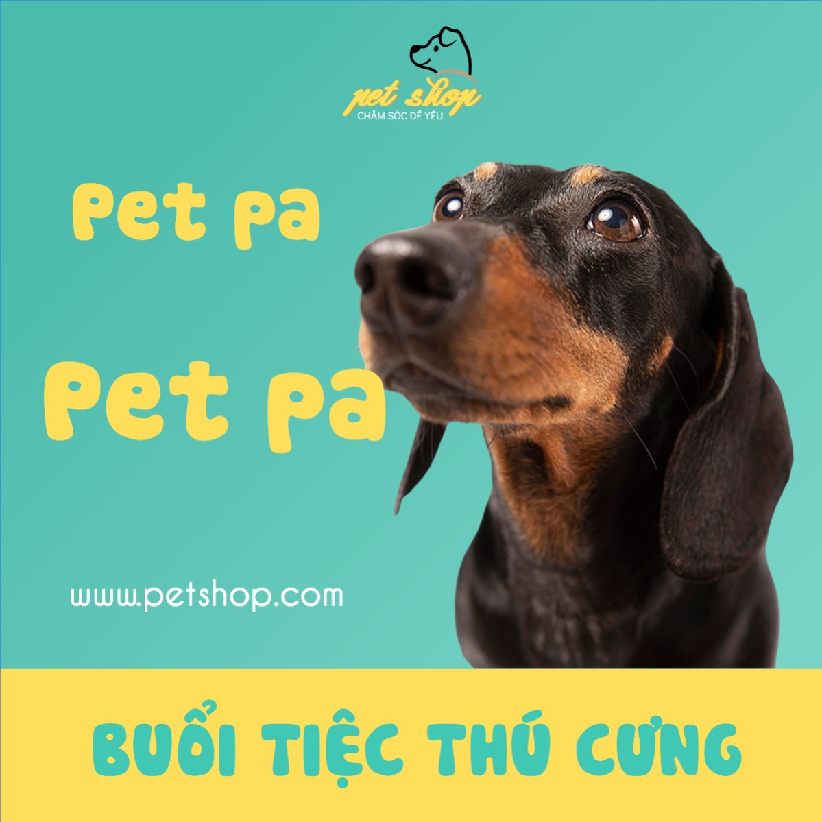 Pet, thú cưng, thú nuôi, động vật, animal