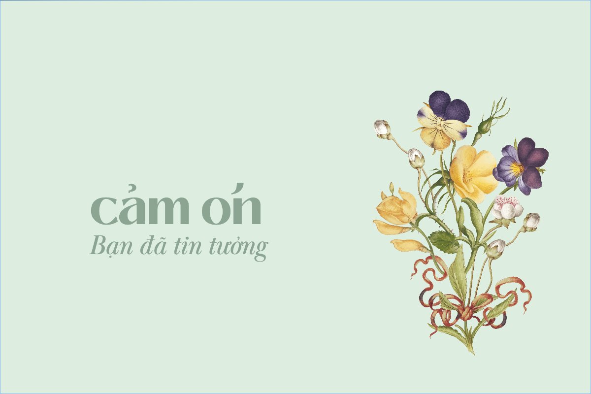 Hoa lá, thiên nhiên, floral, vintage, flower, hoa