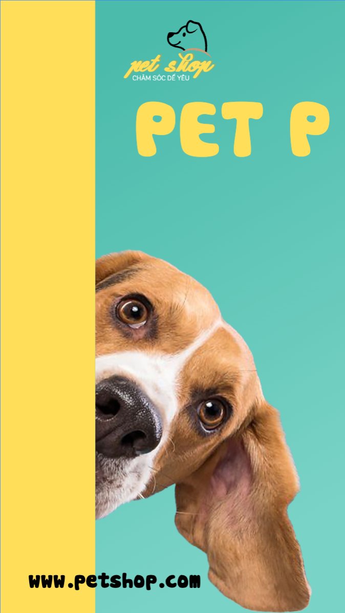 Pet, thú cưng, thú nuôi, động vật, animal