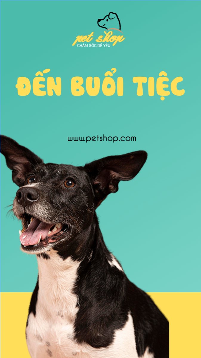 Pet, thú cưng, thú nuôi, động vật, animal