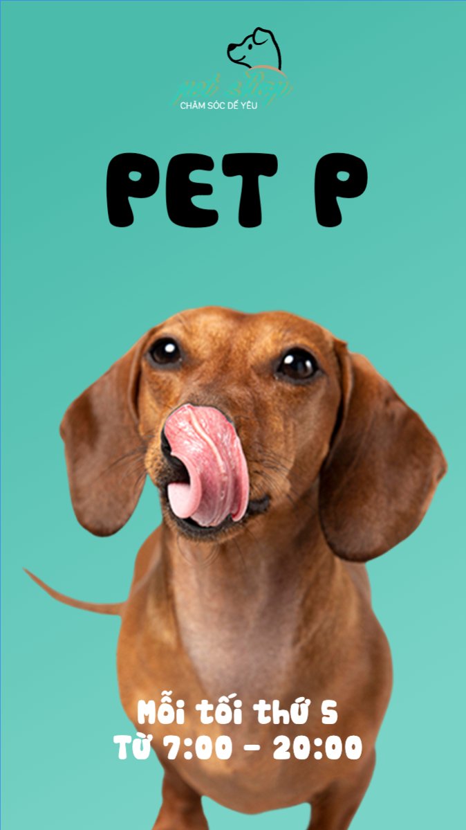 Pet, thú cưng, thú nuôi, động vật, animal