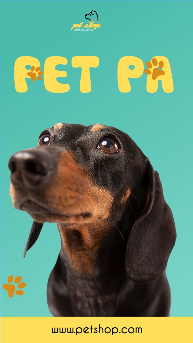 Pet, thú cưng, thú nuôi, động vật, animal