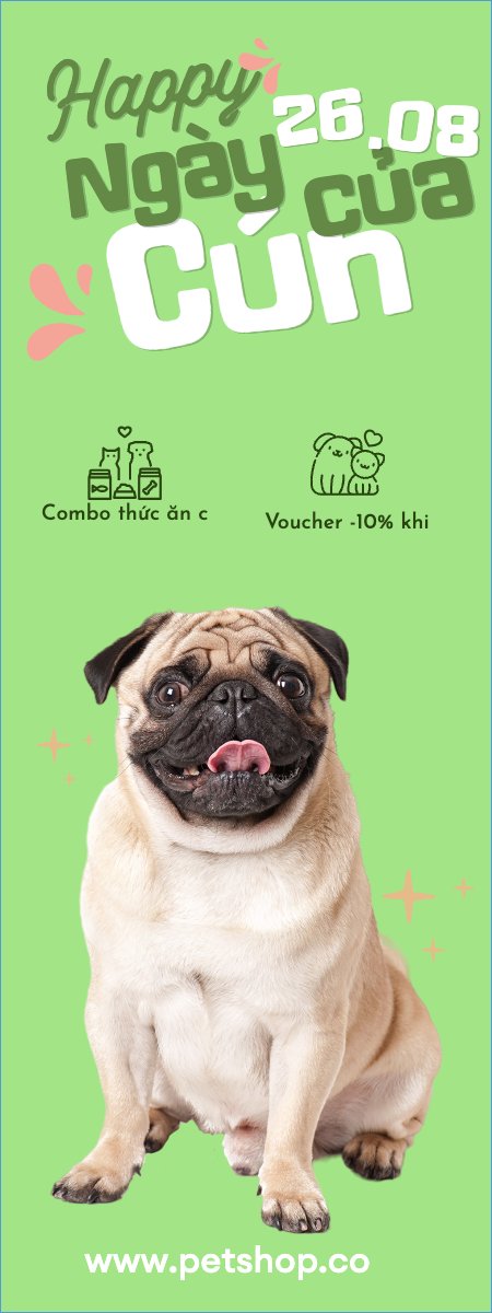 Pet, thú cưng, thú nuôi, động vật, animal