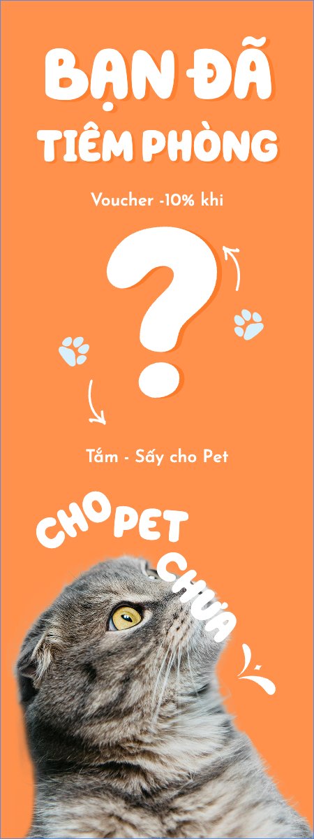 Pet, thú cưng, thú nuôi, động vật, animal, mèo, cat