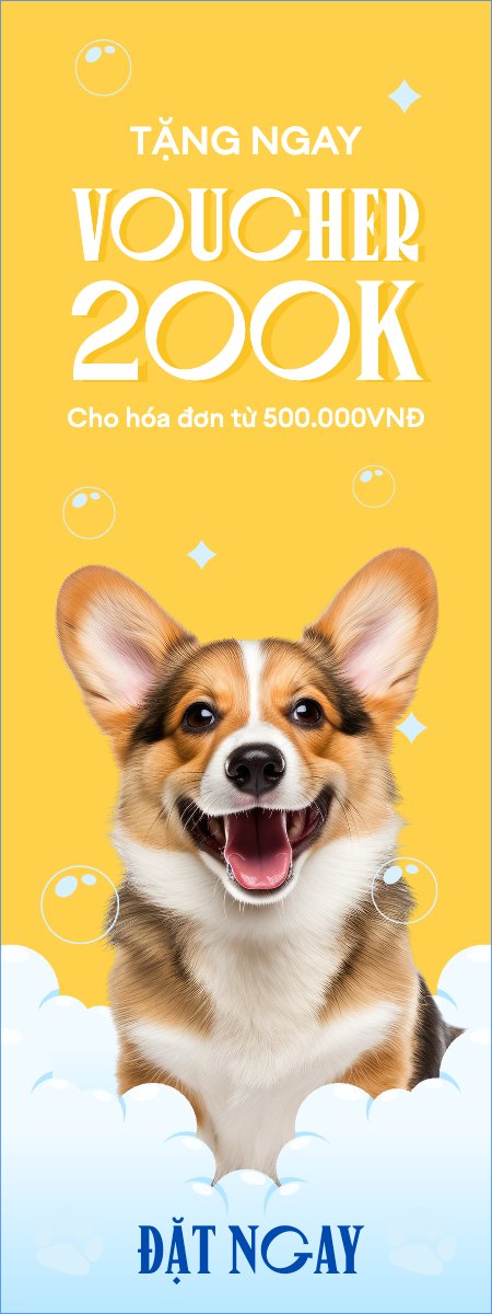 Pet, thú cưng, thú nuôi, động vật, animal, dog, chó