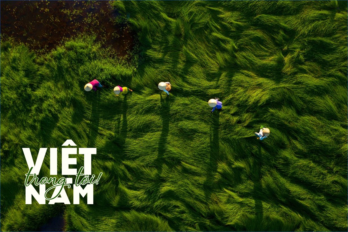 Việt Nam, phong cảnh, thiên nhiên, đơn giản, simple, minimalist, tối giản