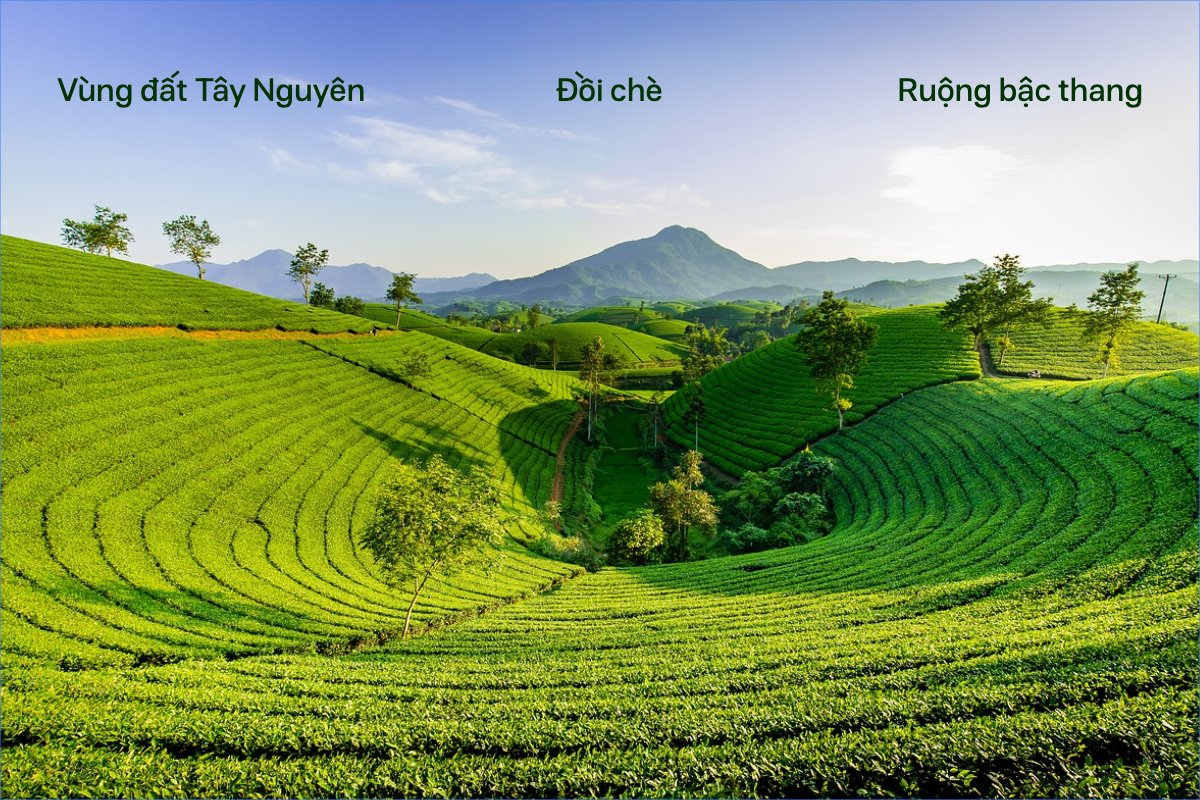 Việt Nam, phong cảnh, thiên nhiên, đơn giản, simple, minimalist, tối giản