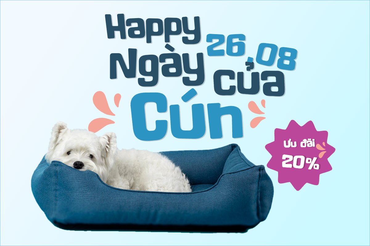 Pet, thú cưng, thú nuôi, động vật, animal