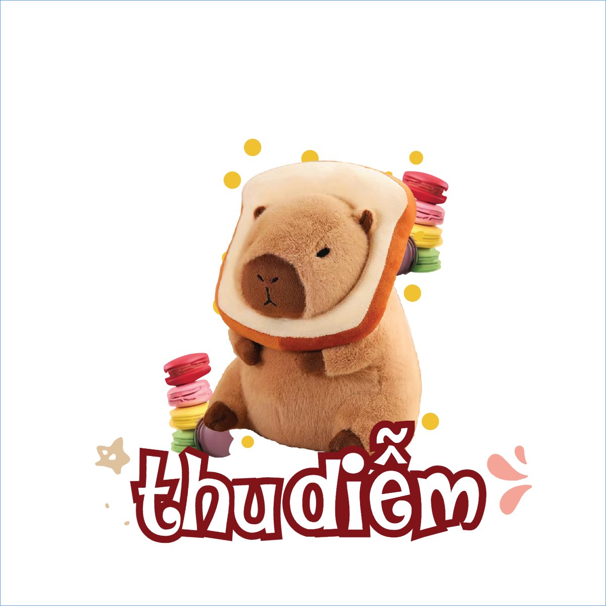 Capybara, chuột lang nước, trending, hot, viral, xu hướng, thịnh hành