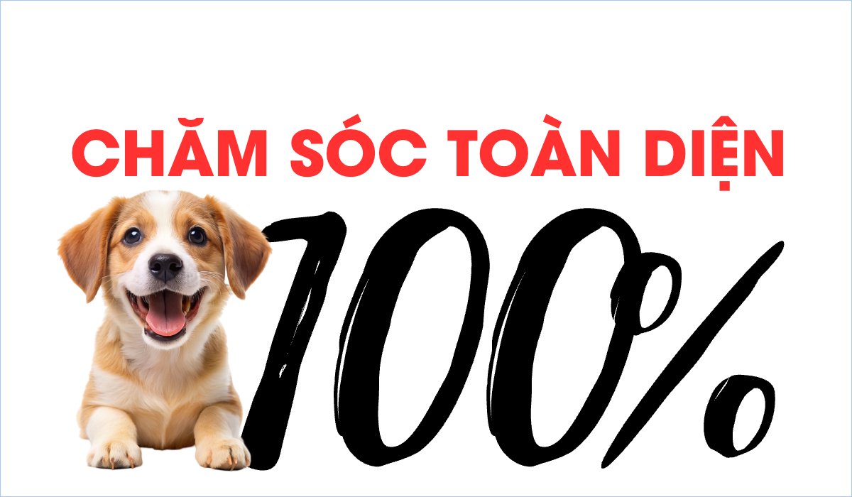 Pet, thú cưng, thú nuôi, động vật, animal, dog, con chó